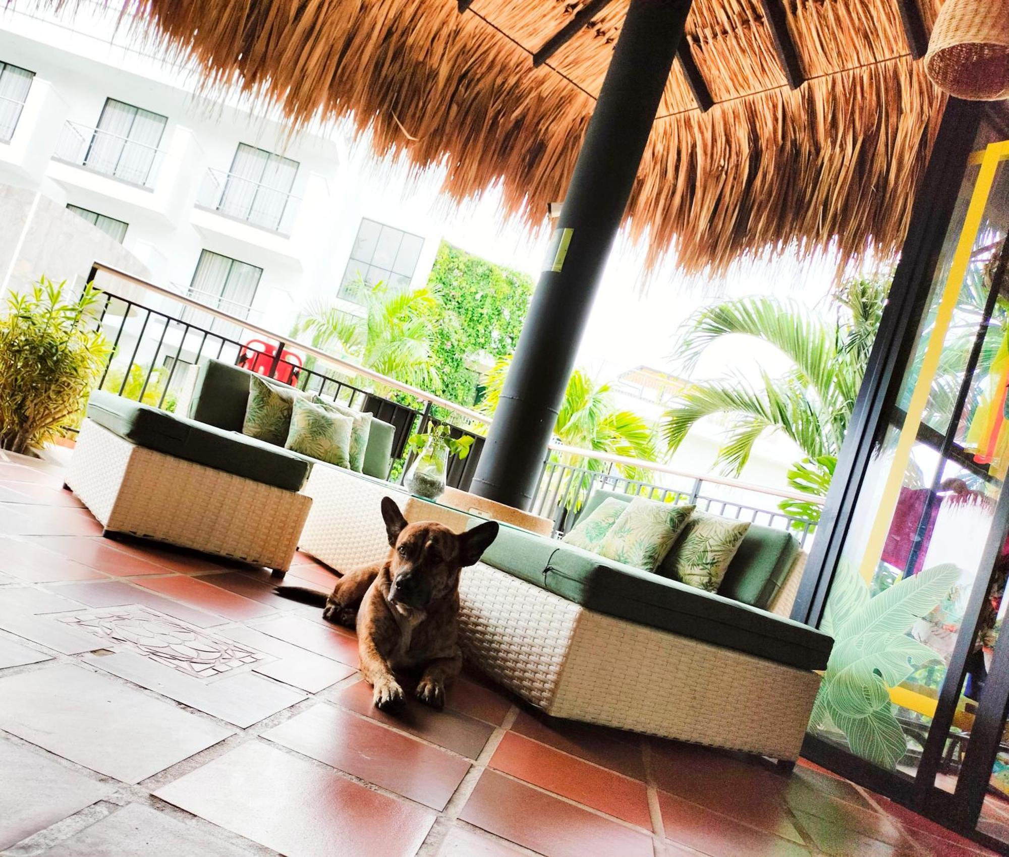 Hotel Arboreo Doradal Buitenkant foto